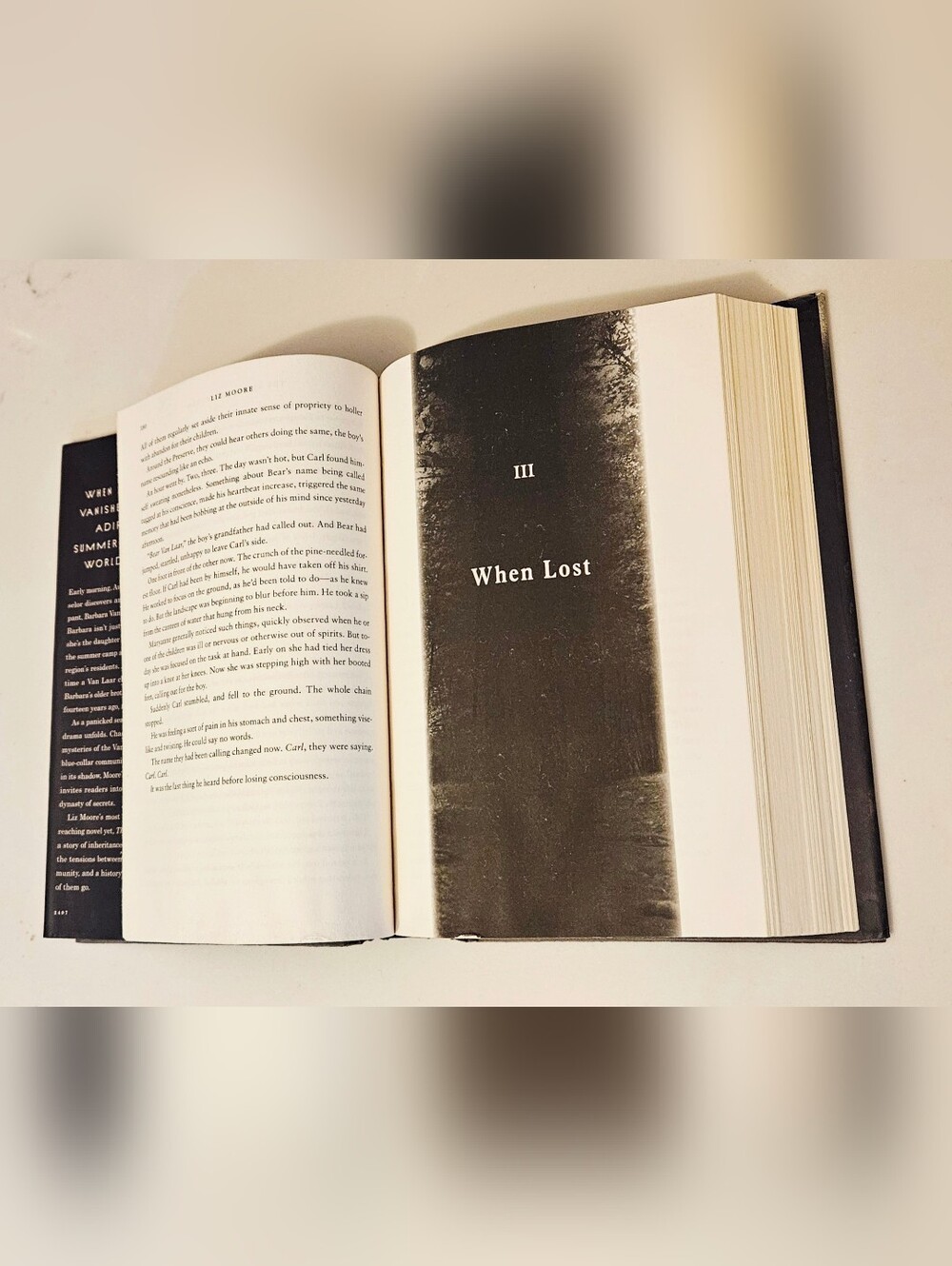 The God of the Woods: A Novel Liz Moore Hardcover Book - Picture 6 of 8